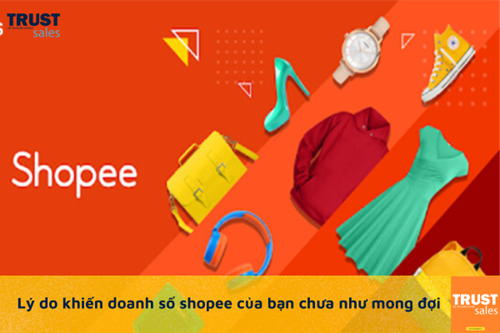 Điểm danh lý do khiến hoạt động bán hàng online trên Shopee của bạn chưa hiệu quả