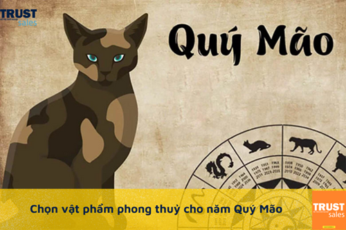 Chọn vật phẩm phong thuỷ năm Quý Mão thế nào để kinh doanh đại cát đại lợi